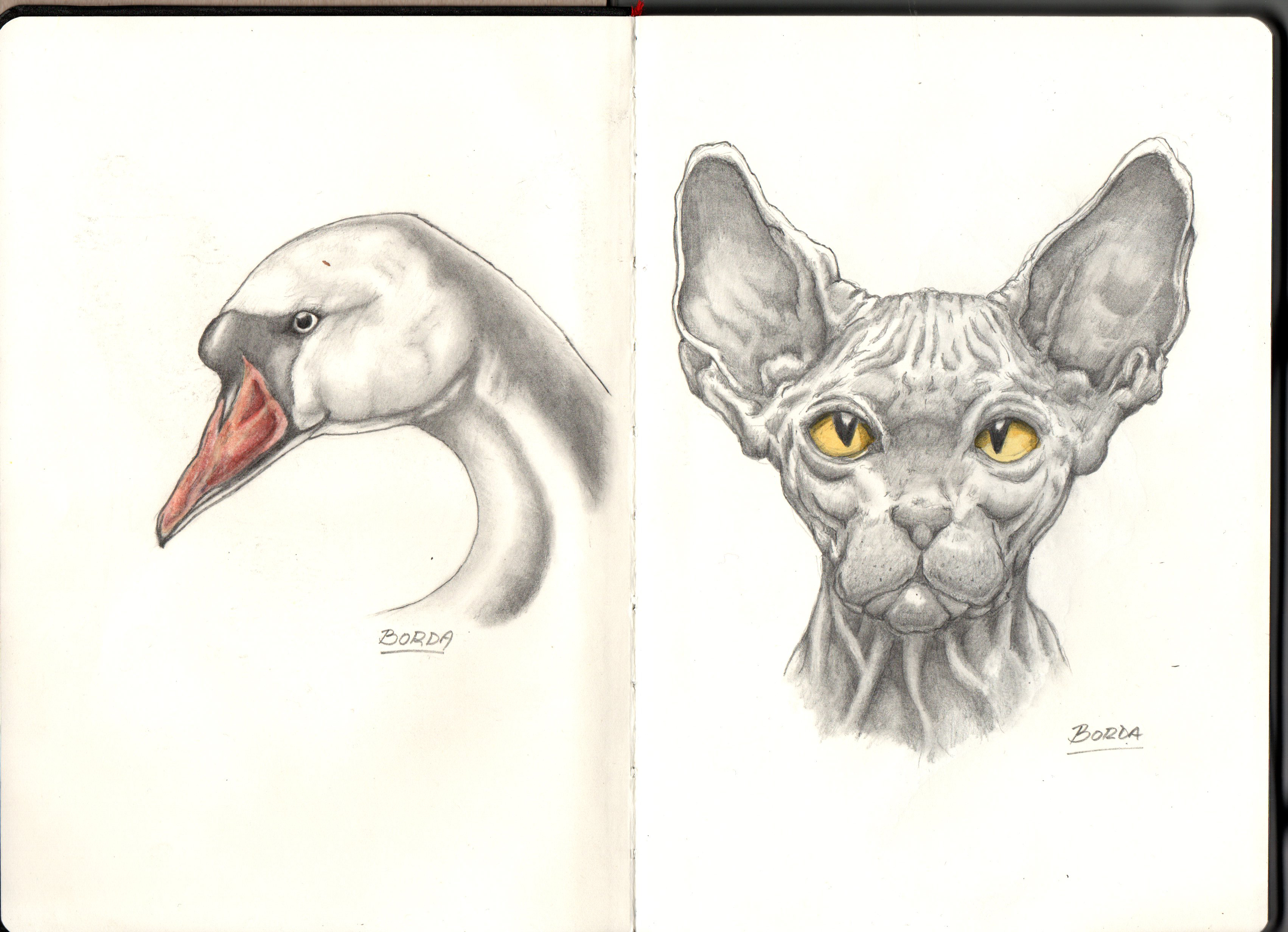 Watercolor and ink work