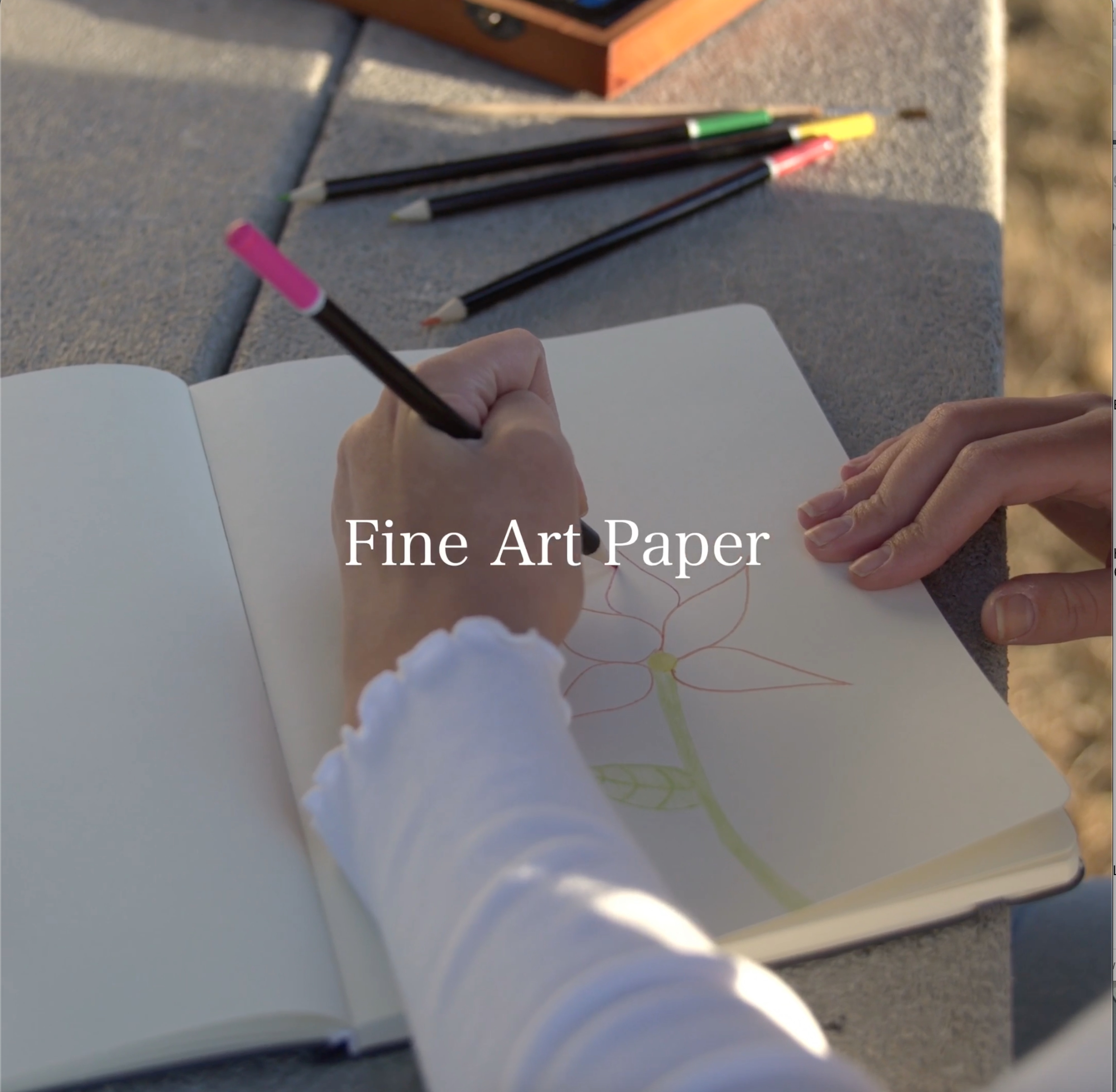 Leda book in artist's hand